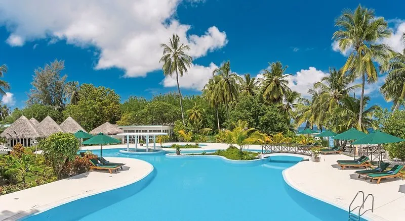 Velik zunanji bazen hotela Equator Village obdan s palmami